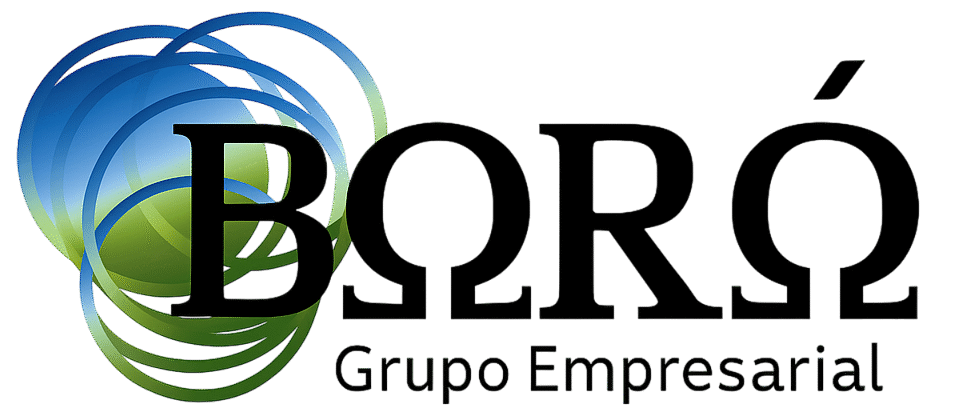 cropped-Logotipo-Boro-Alta-resolucion-Photoroom.png